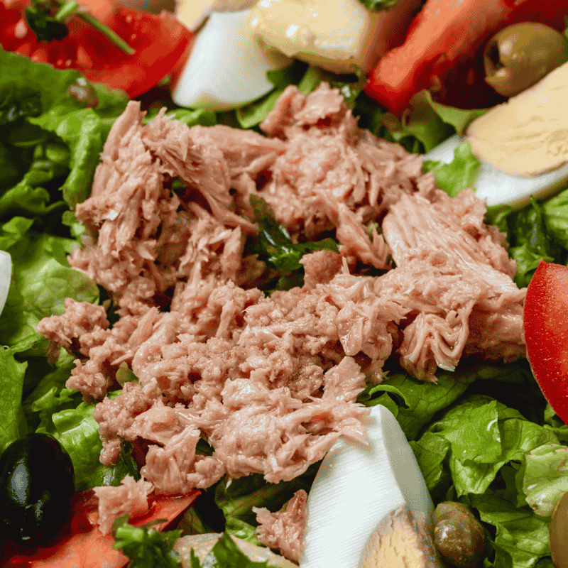 Atún para deportistas: cómo aprovechar su proteína en tu dieta