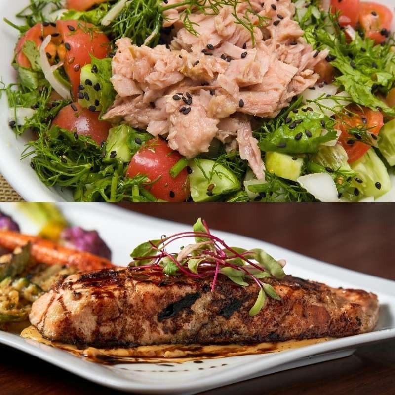 Cómo influye la temperatura del atún a su sabor: frío, templado o caliente